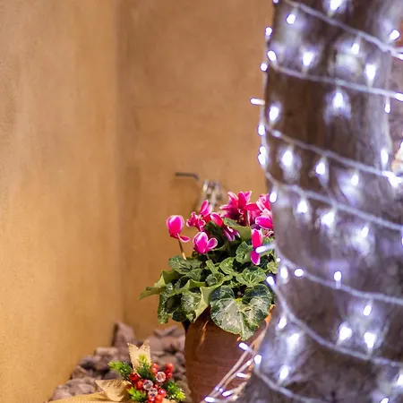 Appartamento Scandinavian - Le Petit Bati *