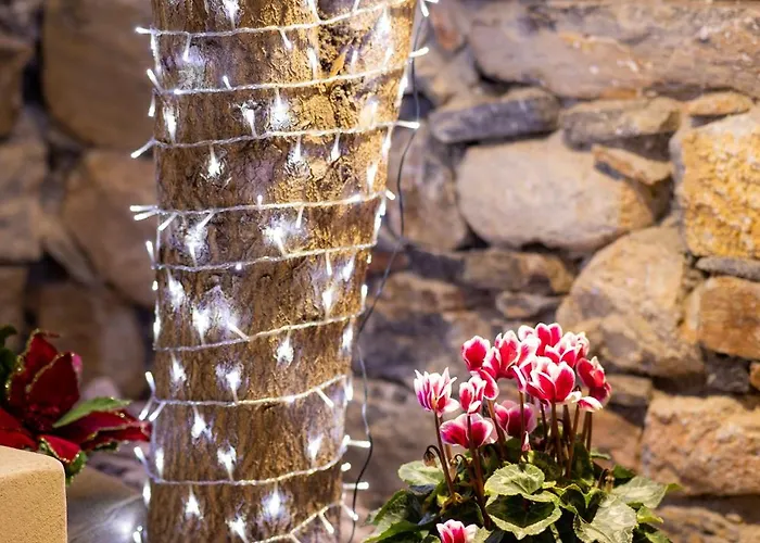 Apartment Scandinavian - Le Petit Bati