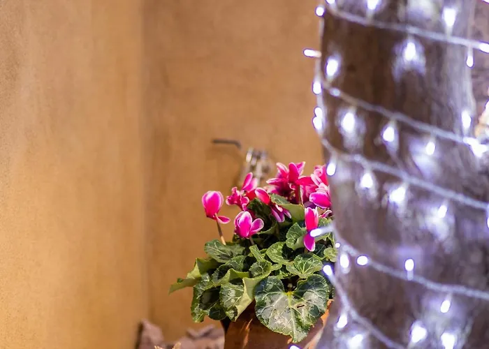 Apartment Scandinavian - Le Petit Bati *